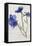 Flores en Hielo VI-Moises Levy-Framed Stretched Canvas