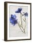 Flores en Hielo VI-Moises Levy-Framed Giclee Print