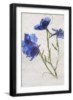 Flores en Hielo VI-Moises Levy-Framed Giclee Print