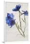 Flores en Hielo VI-Moises Levy-Framed Giclee Print