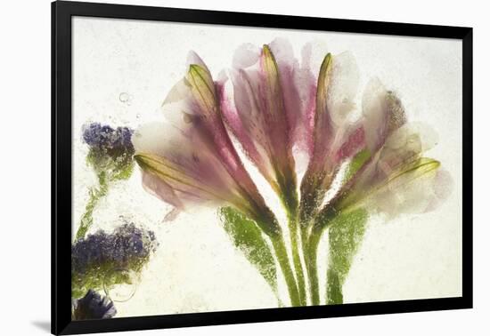 Flores en Hielo VII-Moises Levy-Framed Giclee Print