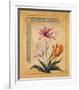 Flores Exoticas y Mapas I-Javier Fuentes-Framed Art Print