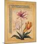 Flores Exoticas y Mapas I-Javier Fuentes-Mounted Art Print