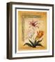 Flores Exoticas y Mapas I-Javier Fuentes-Framed Art Print