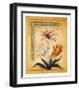 Flores Exoticas y Mapas I-Javier Fuentes-Framed Art Print