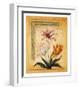 Flores Exoticas y Mapas I-Javier Fuentes-Framed Art Print