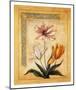 Flores Exoticas y Mapas I-Javier Fuentes-Mounted Art Print