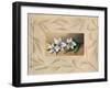 Flores I-Raul Tamaris-Framed Art Print