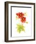 Flores Rojas Green Leaves II-Shirley Novak-Framed Art Print