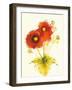 Flores Rojas I-Shirley Novak-Framed Art Print