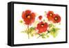 Flores Rojas VI-Shirley Novak-Framed Stretched Canvas