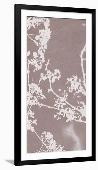 Florets in Grey-Sarah Cheyne-Framed Giclee Print