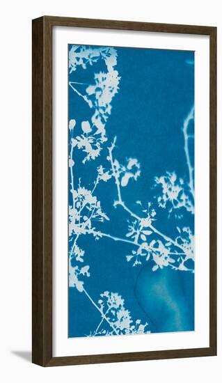 Florets-Sarah Cheyne-Framed Giclee Print