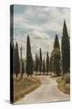 Tuscan Path-Florian Schleinig-Stretched Canvas