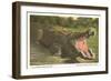 Florida Alligator, Myakka River State Park-null-Framed Art Print