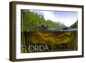 Florida - Alligator Underwater-Lantern Press-Framed Art Print