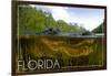 Florida - Alligator Underwater-Lantern Press-Framed Art Print