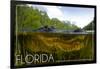 Florida - Alligator Underwater-Lantern Press-Framed Art Print