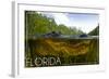 Florida - Alligator Underwater-Lantern Press-Framed Art Print