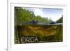 Florida - Alligator Underwater-Lantern Press-Framed Premium Giclee Print