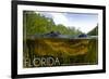 Florida - Alligator Underwater-Lantern Press-Framed Premium Giclee Print