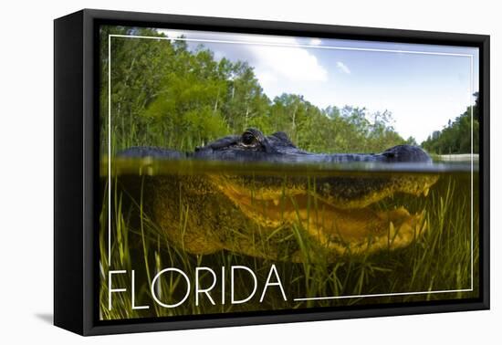 Florida - Alligator Underwater-Lantern Press-Framed Stretched Canvas