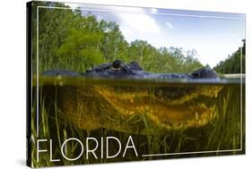 Florida - Alligator Underwater-Lantern Press-Stretched Canvas