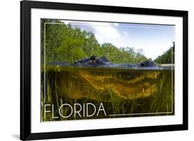 Florida - Alligator Underwater-Lantern Press-Framed Art Print