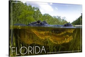 Florida - Alligator Underwater-Lantern Press-Stretched Canvas