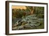 Florida Alligators-null-Framed Art Print