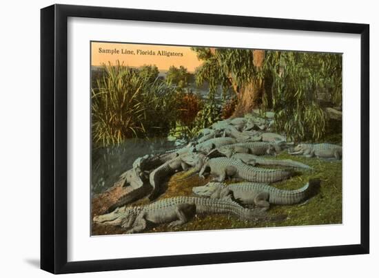 Florida Alligators-null-Framed Art Print