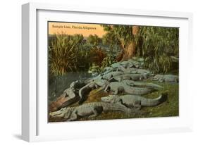 Florida Alligators-null-Framed Art Print