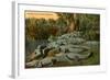 Florida Alligators-null-Framed Art Print