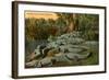 Florida Alligators-null-Framed Art Print