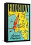 Florida, America's Playground-null-Framed Stretched Canvas