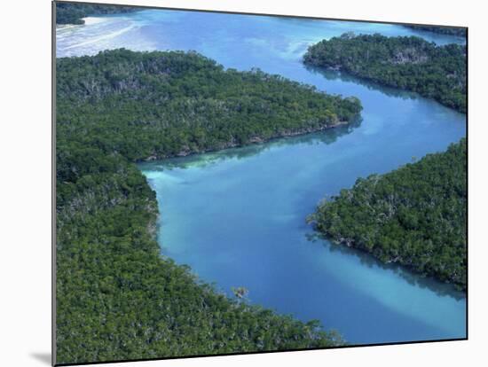 Florida Bay, Everglades National Park, Florida, USA-Rob Tilley-Mounted Photographic Print