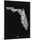 Florida Black and White Map-NaxArt-Mounted Art Print