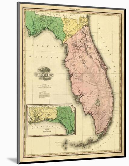 Florida, c.1823-Henry S^ Tanner-Mounted Art Print