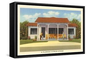 Florida Citrus Stand-null-Framed Stretched Canvas