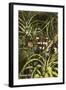 Florida Coon, Pineapples-null-Framed Art Print