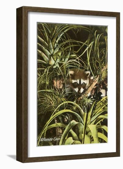 Florida Coon, Pineapples-null-Framed Art Print