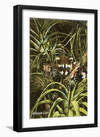 Florida Coon, Pineapples-null-Framed Art Print