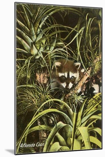 Florida Coon, Pineapples-null-Mounted Art Print