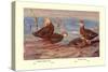 Florida Dusty and Mexican Ducks-Allan Brooks-Stretched Canvas