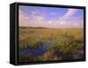 Florida, Everglades National Park-null-Framed Stretched Canvas