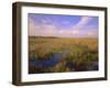 Florida, Everglades National Park-null-Framed Photographic Print