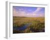 Florida, Everglades National Park-null-Framed Photographic Print