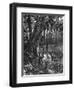 Florida Everglades, USA, C1885-null-Framed Giclee Print