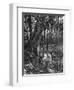 Florida Everglades, USA, C1885-null-Framed Giclee Print