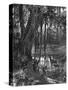 Florida Everglades, USA, C1885-null-Stretched Canvas